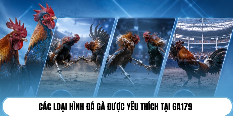 Các loại hình đá gà được yêu thích tại GA179